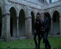 PDVD_047.jpg