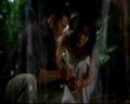 PDVD_048.jpg