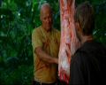 PDVD_082.jpg