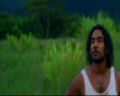 PDVD_171.jpg